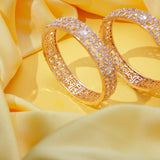 Glamorous Golden Zirconia Kada (Set of 2)