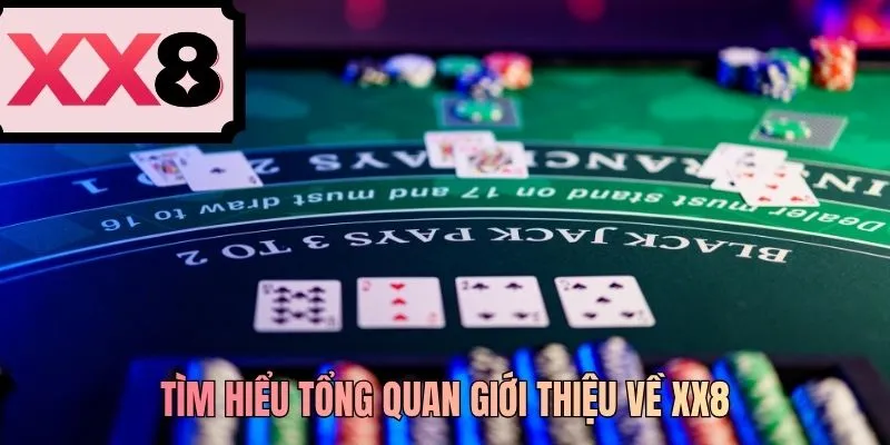 Tìm hiểu tổng quan giới thiệu về XX8